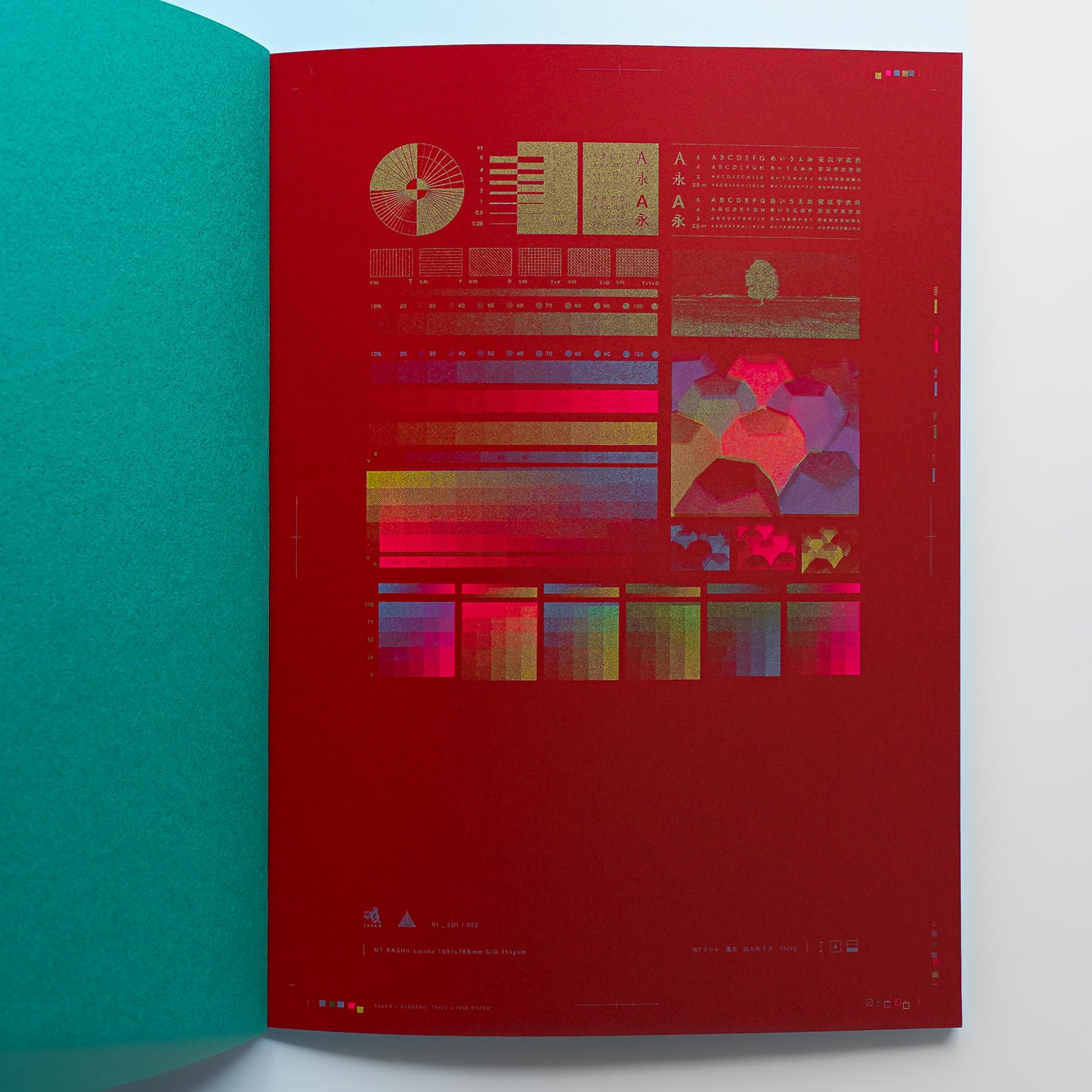 FINE PAPER x RISO