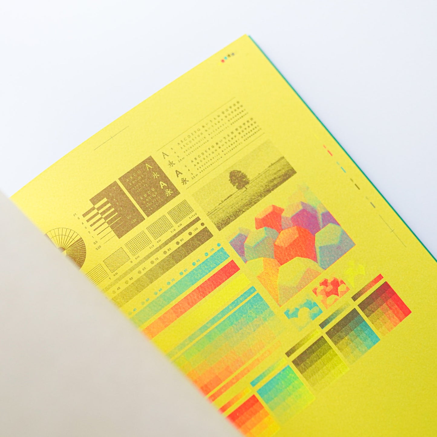 FINE PAPER x RISO