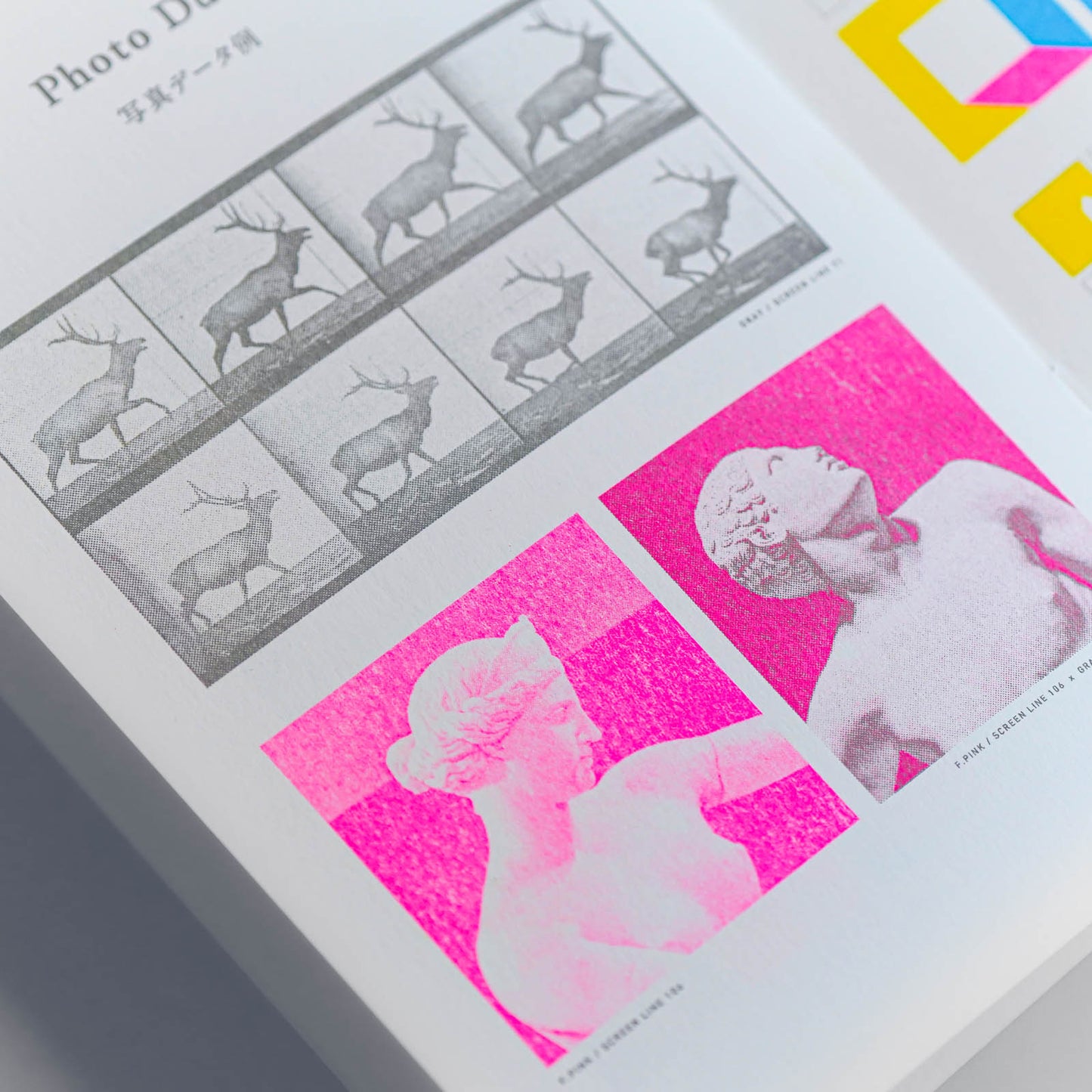 Guide for Riso No.01 ED2 / White